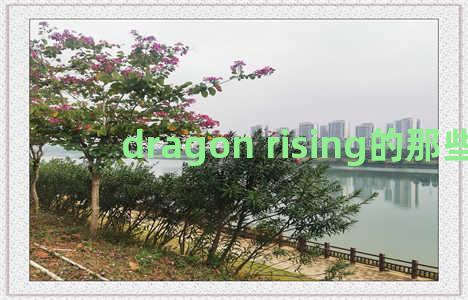 dragon rising的那些事